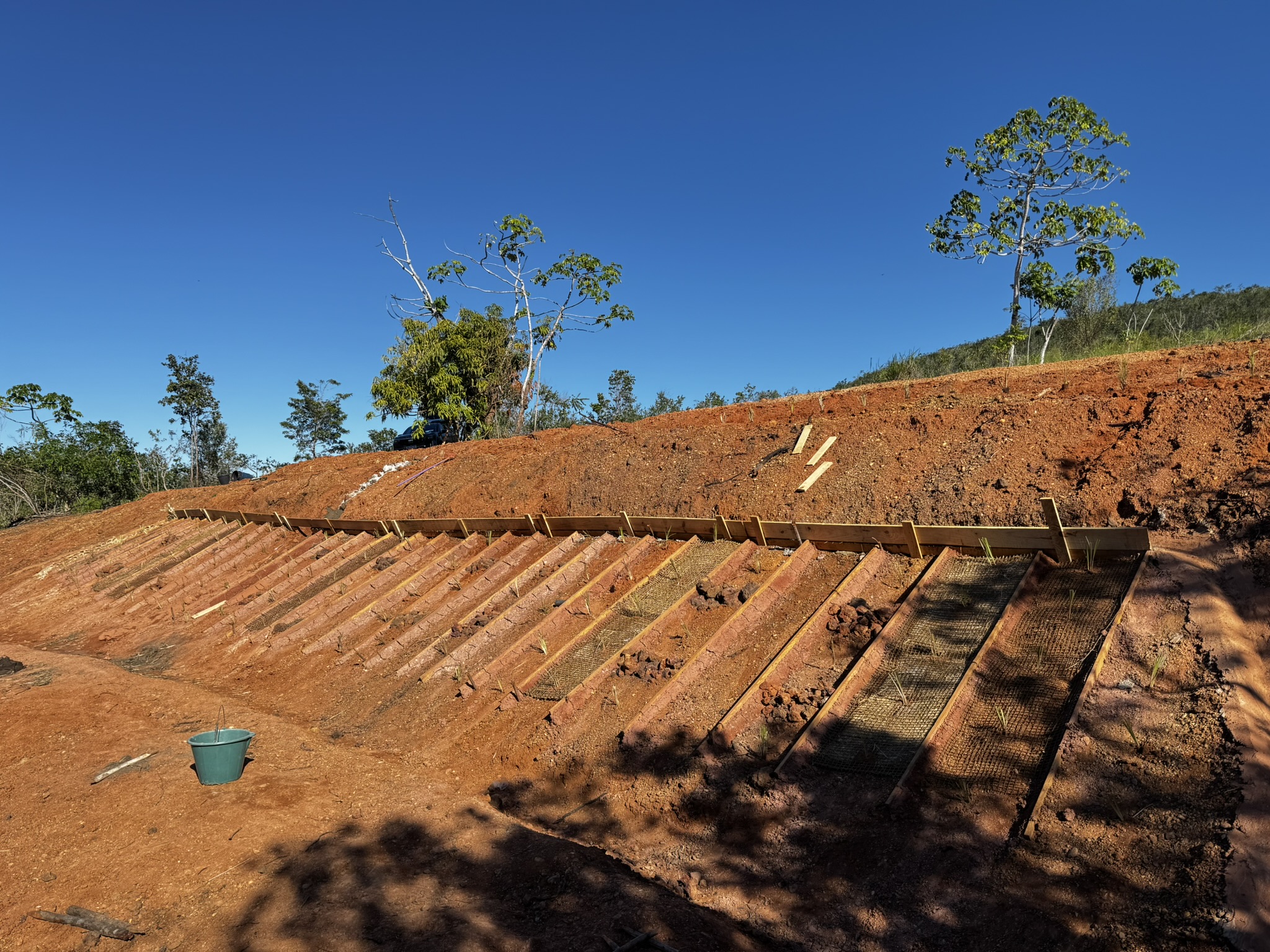 Retaludamento vegetado em talude degradado como etapa de engenharia natural